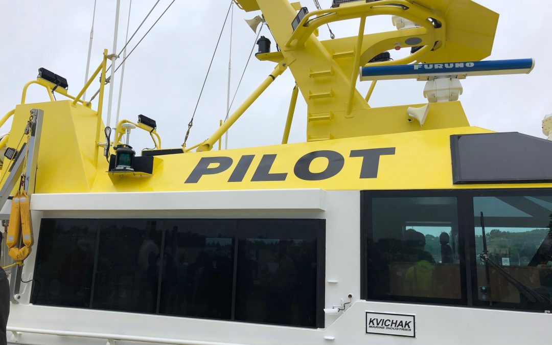Pilot boats The Ship Report